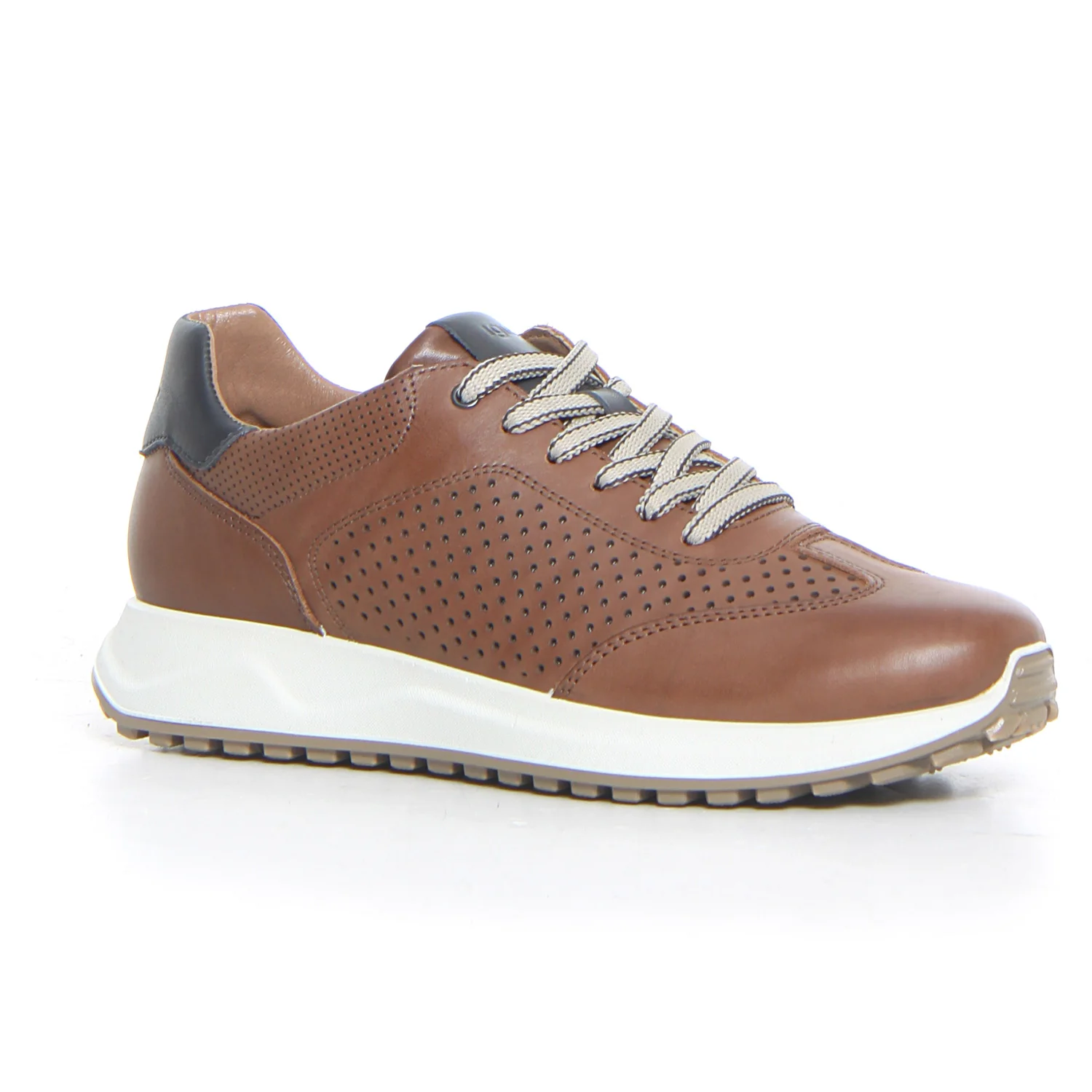 Sneaker tabacco - Image 2