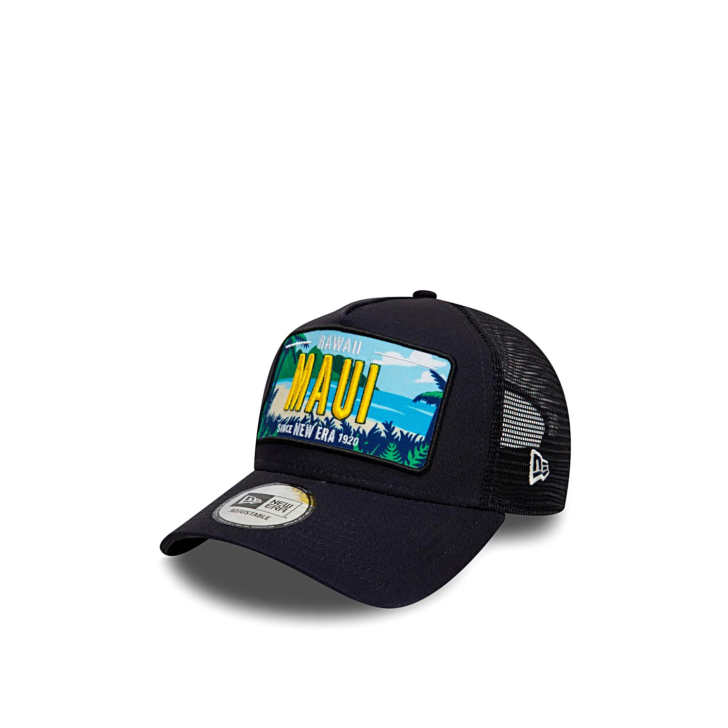 LICENCE PLATE TRUCKER navy